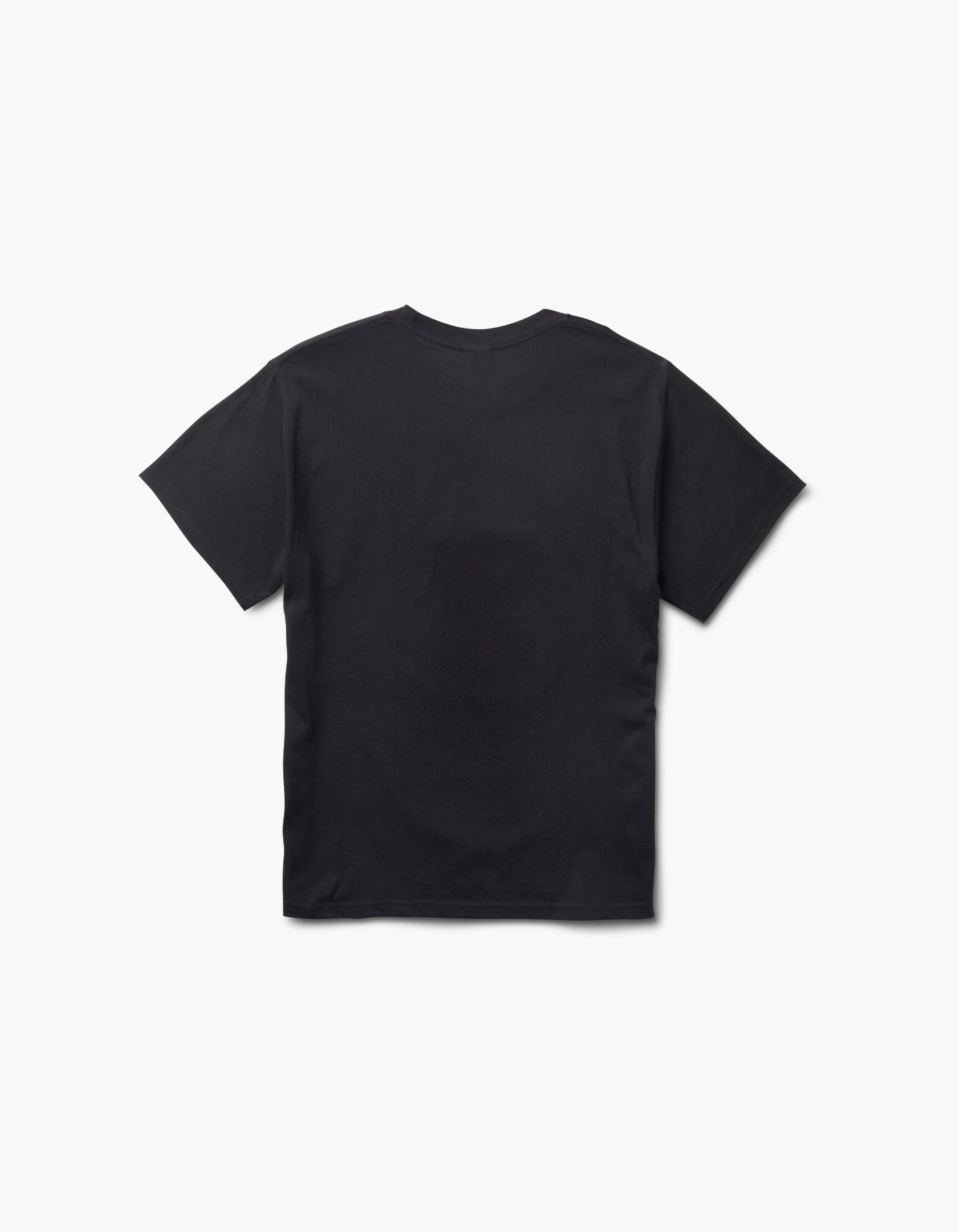 Pursuits and Roots SS T