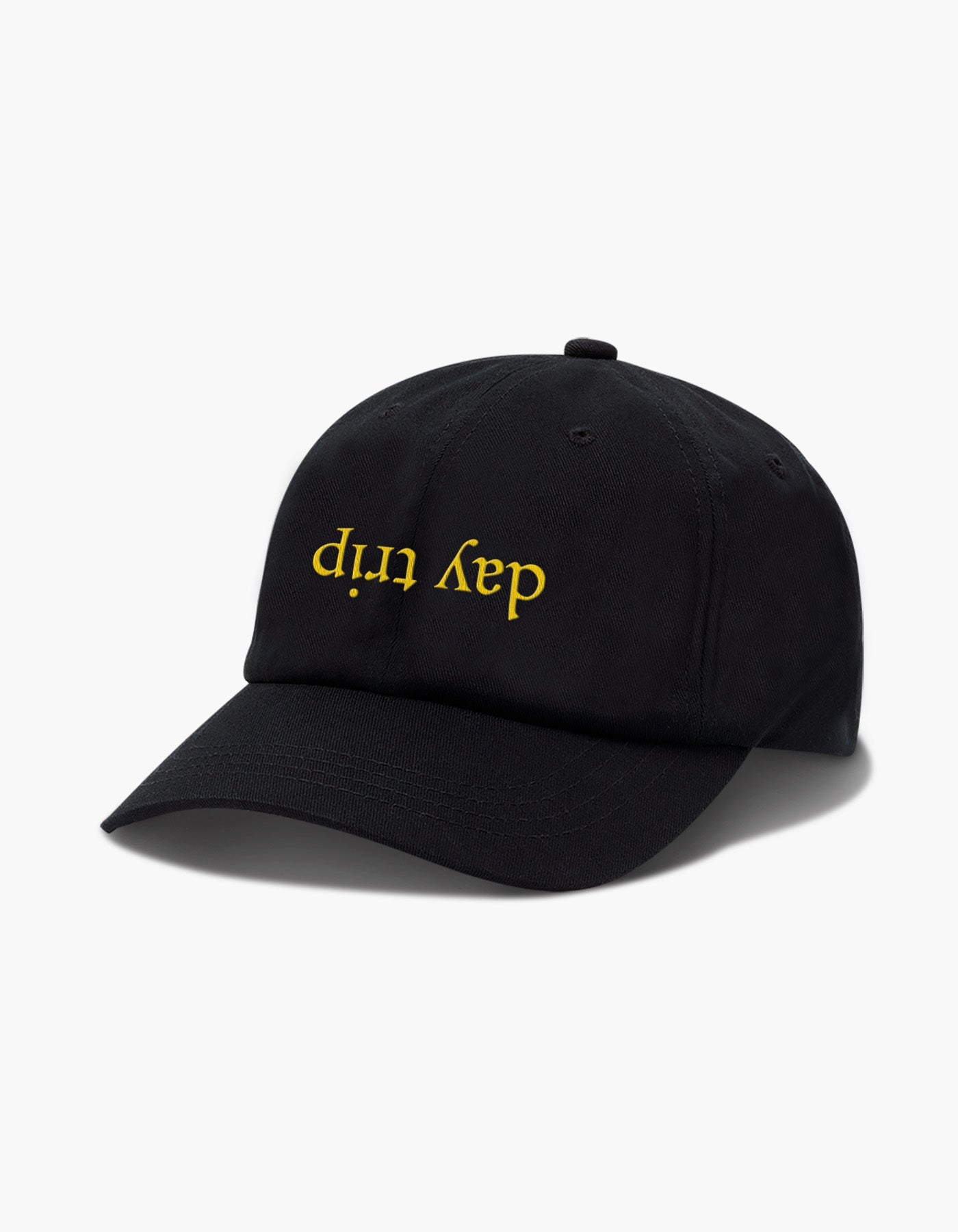 Day Trip Reflect Dad Hat