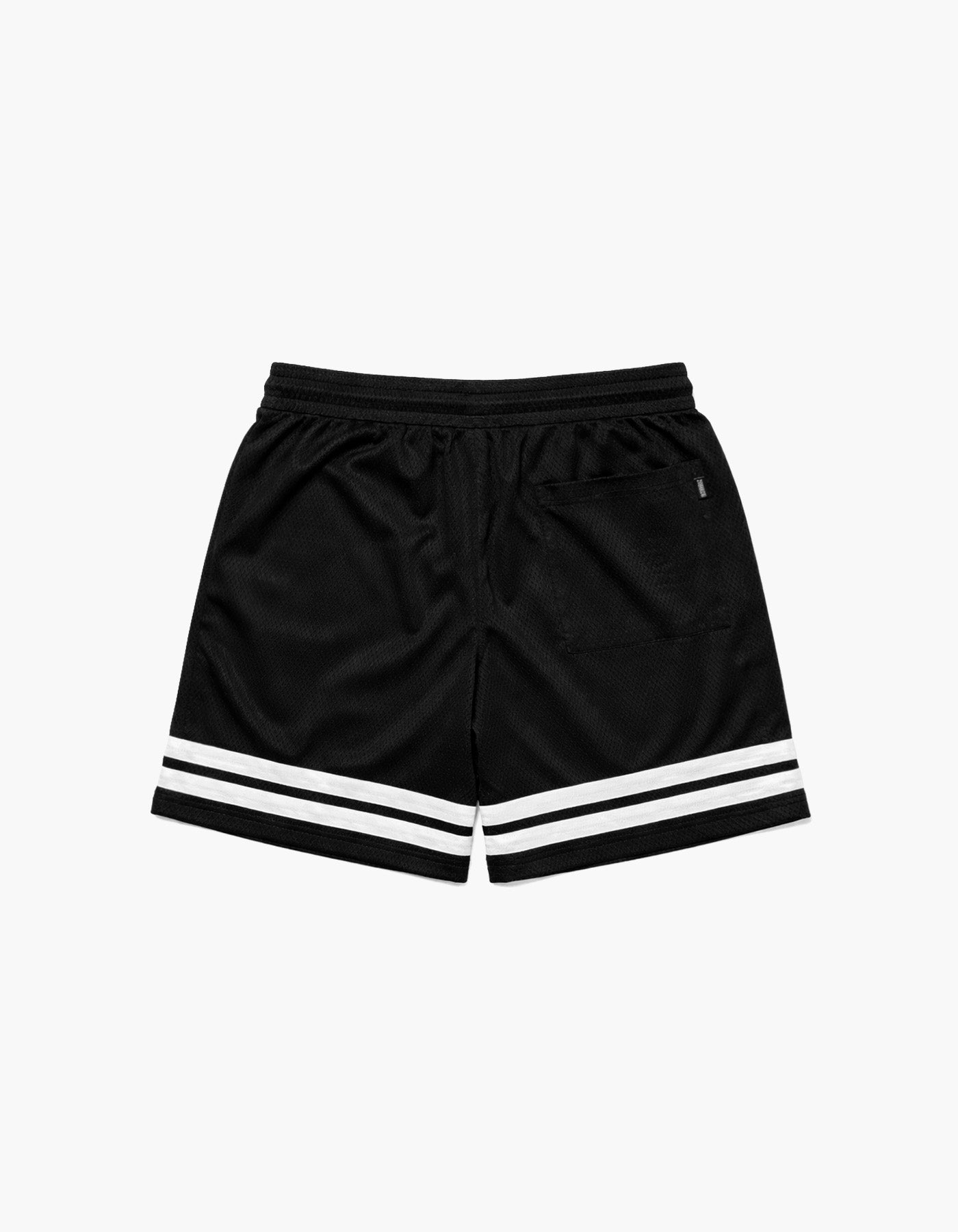 EDC 2026 House Transmission Mesh Short