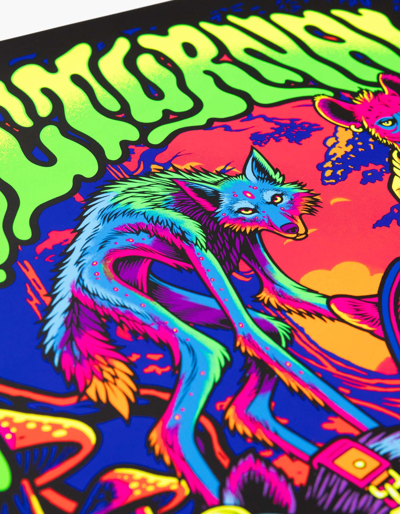 Nocturnal Kingdom Poster