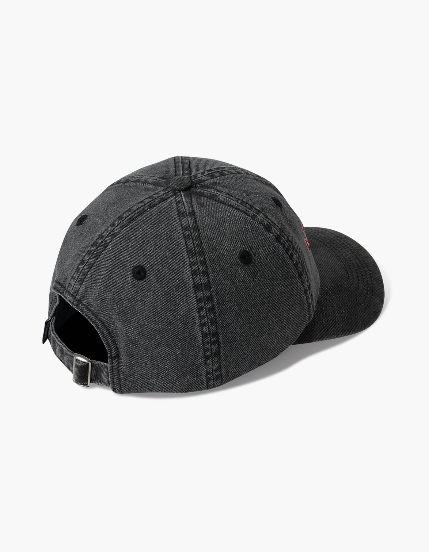Wasteland Washed Dad Hat
