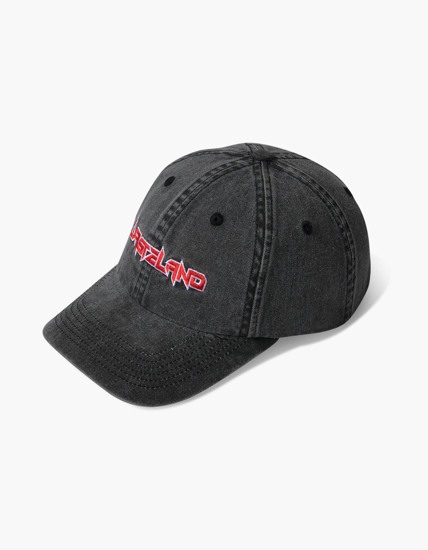 Wasteland Washed Dad Hat