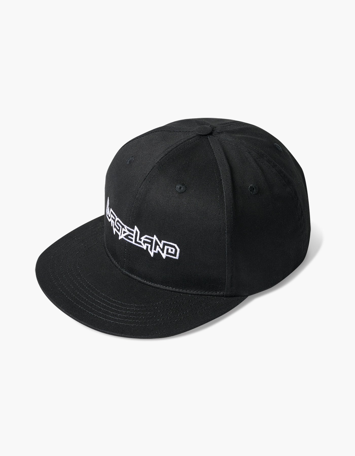 Wasteland 2026 Snapback