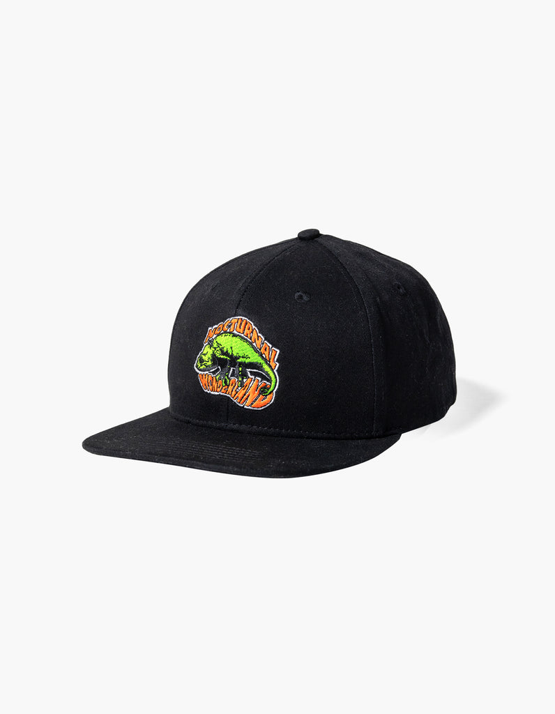 Seeking the Unknown Snapback